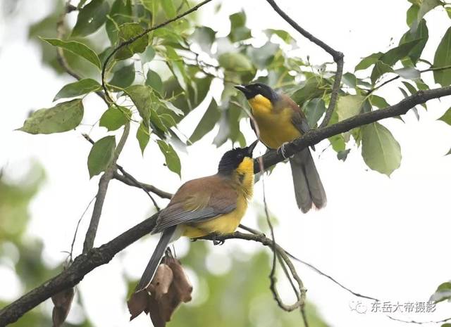 是世纪之谜还是世纪之遗？