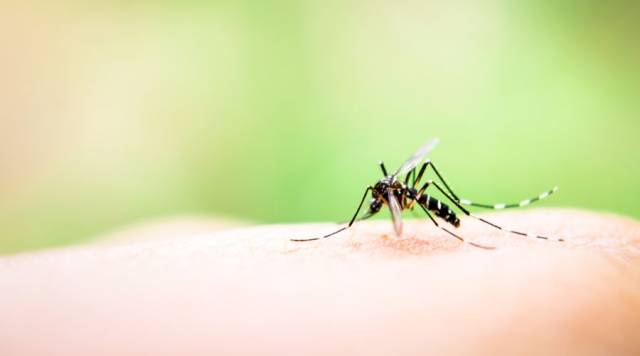 这三种驱蚊成分有毒!夏天给娃安全驱蚊,看这一篇就够了