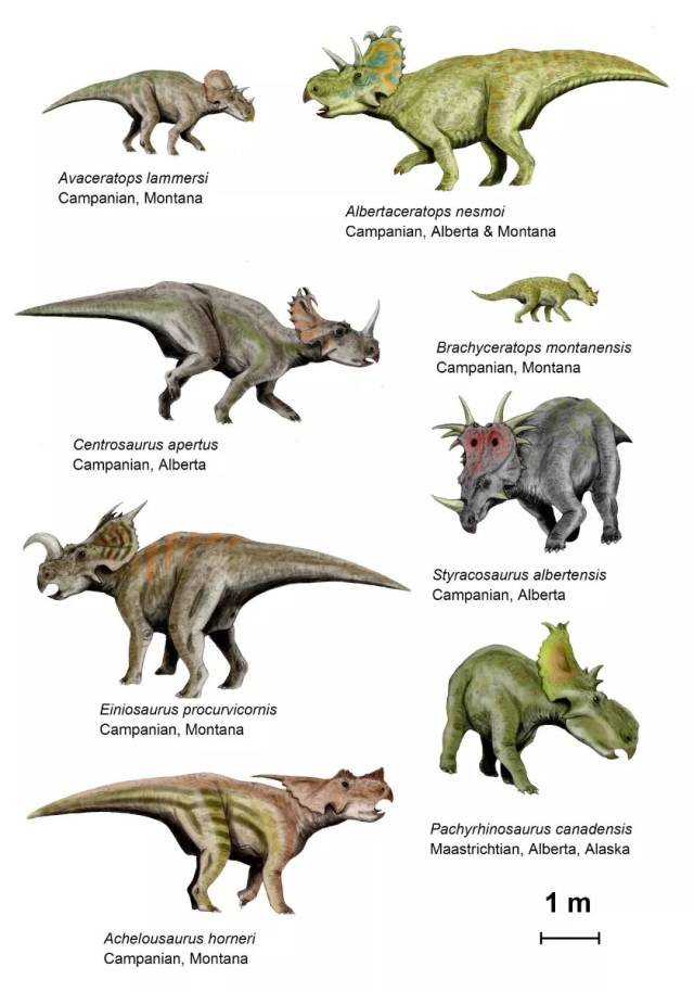 《侏罗纪世界2》热映,90种常见恐龙名称中英对照(视频