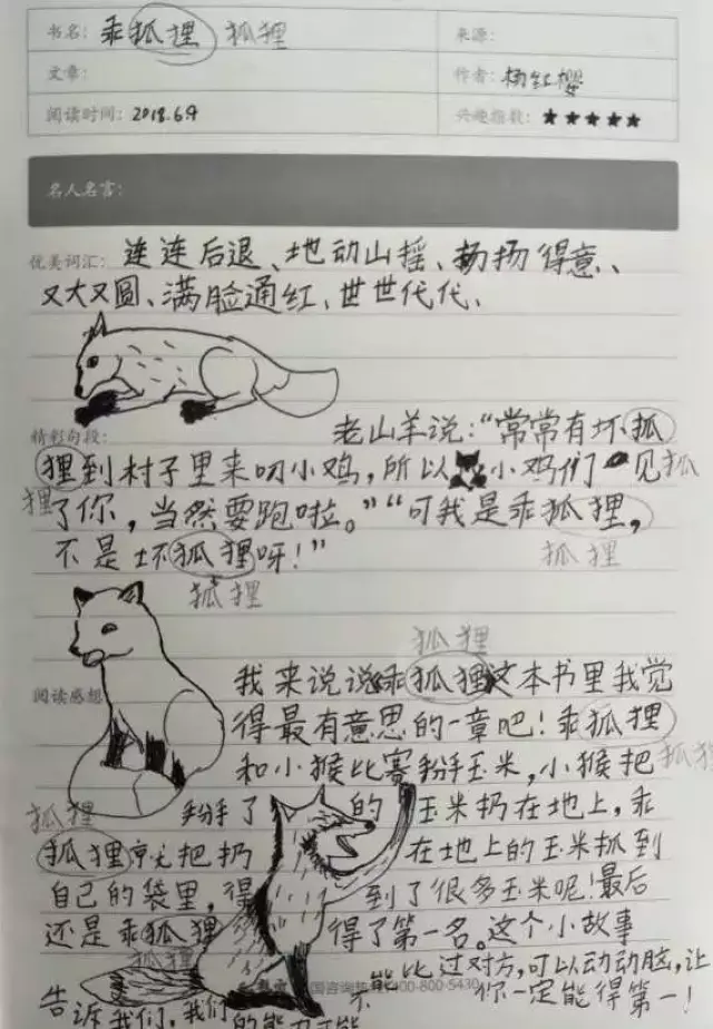 《乖狐狸》阅读笔记