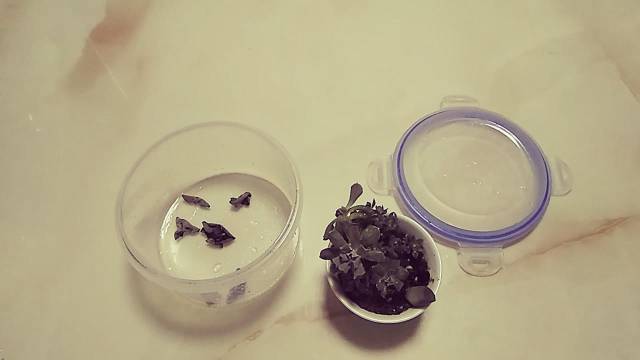 黑木耳快速泡发的方法,既可以让木耳的营养不