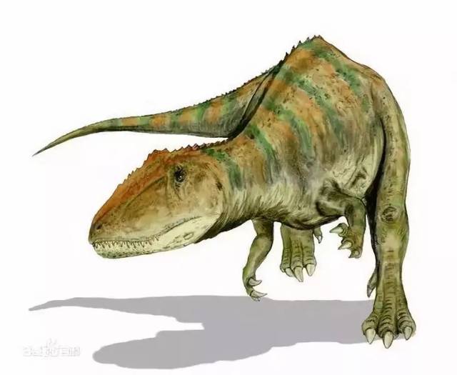 鲨齿龙:白垩纪肉食恐龙 carcharodontosaurus