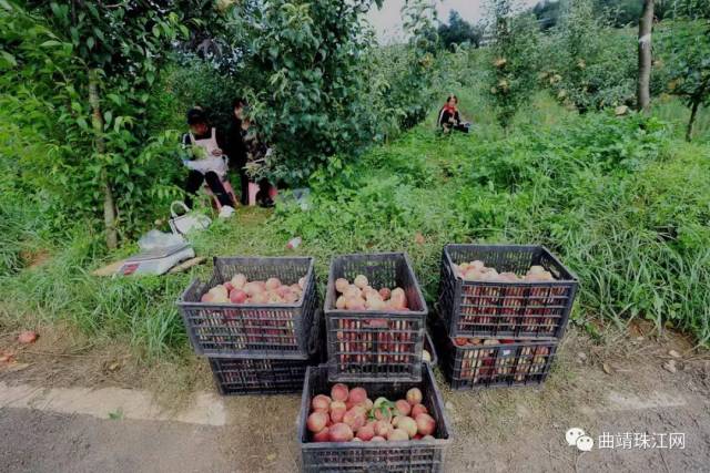 富源第二景区"陶源溪谷"试营业,滇东旅游又添新亮点!