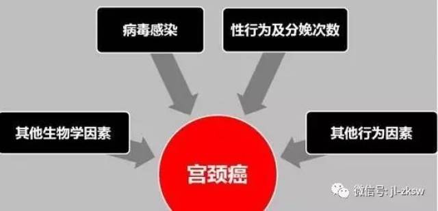 吉林中科:干细胞疗法对宫颈癌的预防与治疗