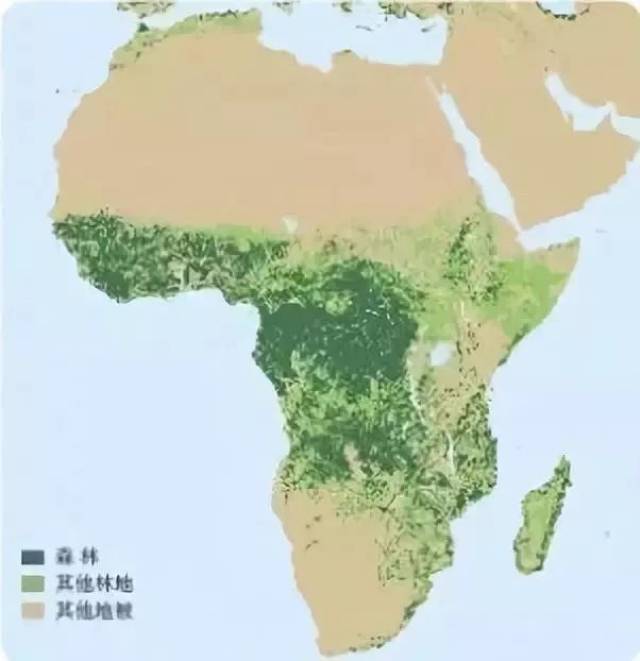非洲木材资源现状 非洲热带雨林资源极其丰富,森林覆盖率达到非洲总