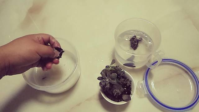 黑木耳快速泡发的方法,既可以让木耳的营养不