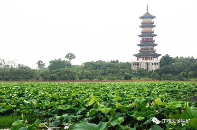 南昌象湖湿地公园