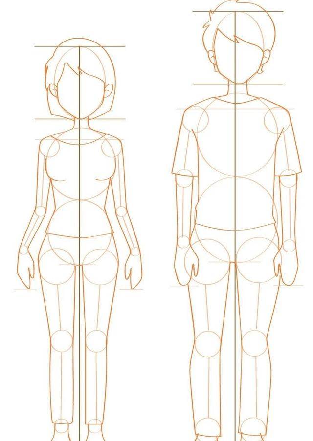 人体结构学 美术生了解人的五官在头部的精确比例 站姿,坐姿,蹲姿与