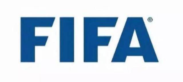 第二是带有"fifa"字样的国际足联官方标志,其样式不一