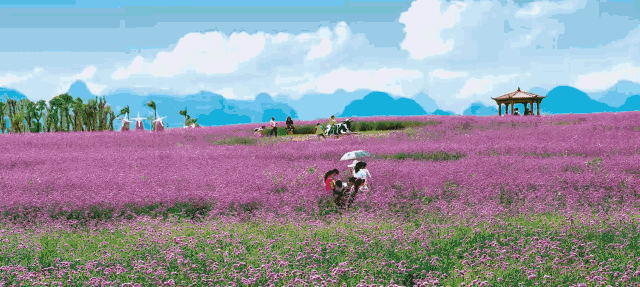是集农业旅游观光,婚纱摄影基地,影视拍摄基地,特色经济苗木种植园