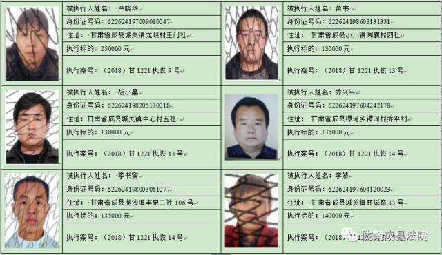 陇南成县人民法院关于公布失信被执行人名单的公告(第