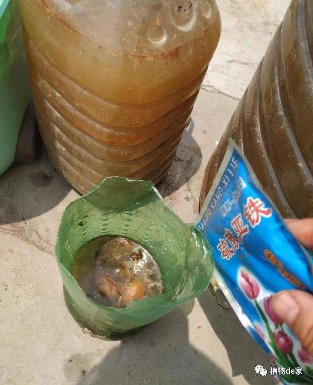 而且,一样会呈微酸性,对一些喜欢酸性的花卉,效果也是不错的, 自制矾