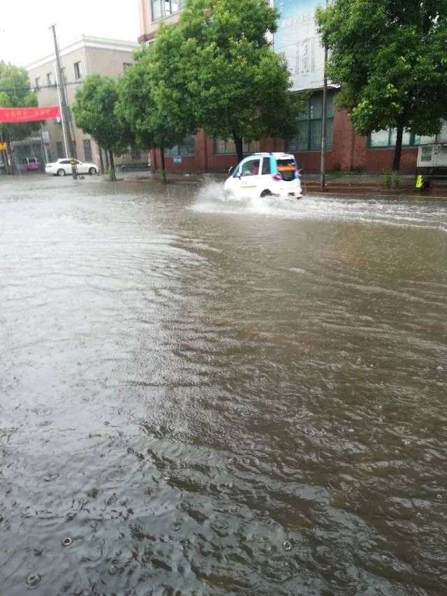 萧山昨夜的暴雨究竟有多大?真实画面感受下!