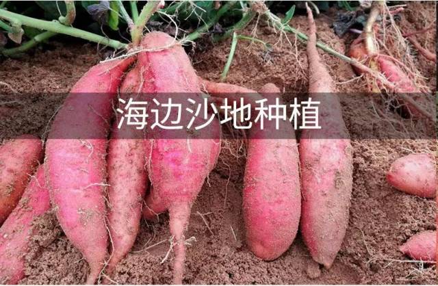 63c765ecde424cf8a8f75ca373a0a664.jpeg