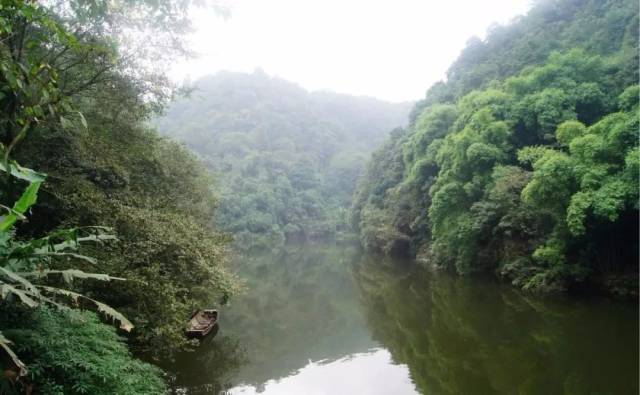 km,1h) ②乘车:成都新南门车站坐车直达蒲江,打车前往 烟霞湖呈树枝状