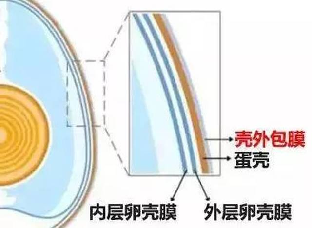 鸡蛋这样放,分分钟变毒蛋!很多人都做错了