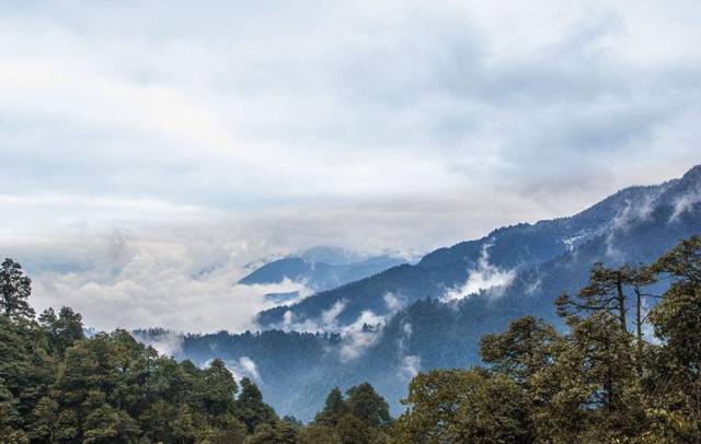 世界旅游禁地:瓦屋山迷魂凼,进去的人无一生还, 已