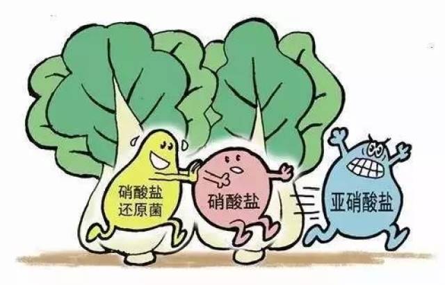 调水有三难:培藻,底改和亚硝酸盐.养殖户如何破解!