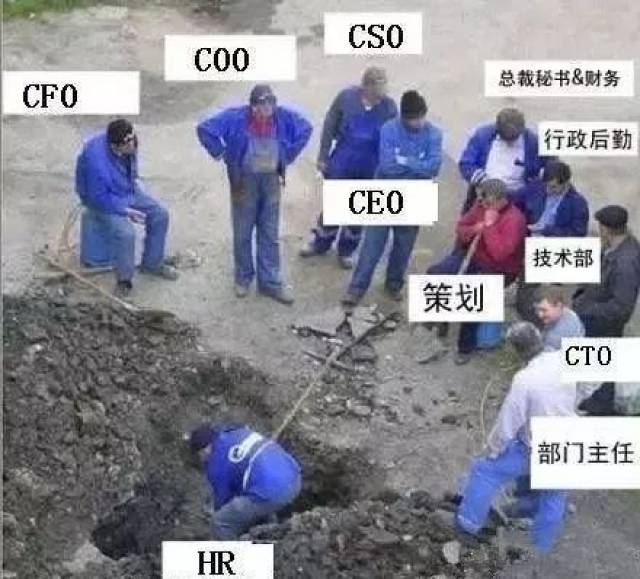 hr的12个了不起尤其是第一张图瞬间同感