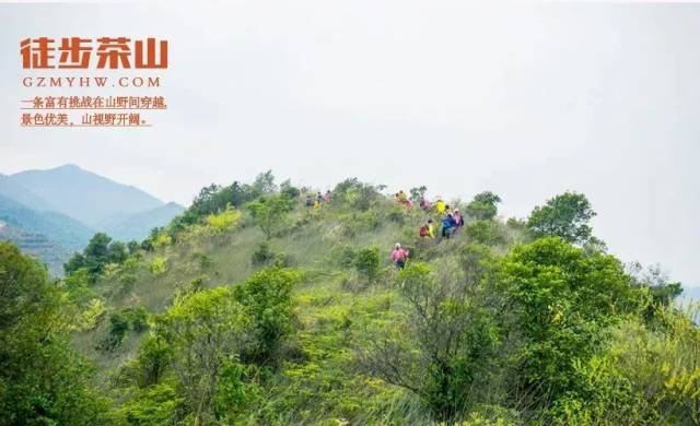 【6月23日】一脚踏三县 | 佛山高明茶山环线登高「大吉大利,上山吃鸡