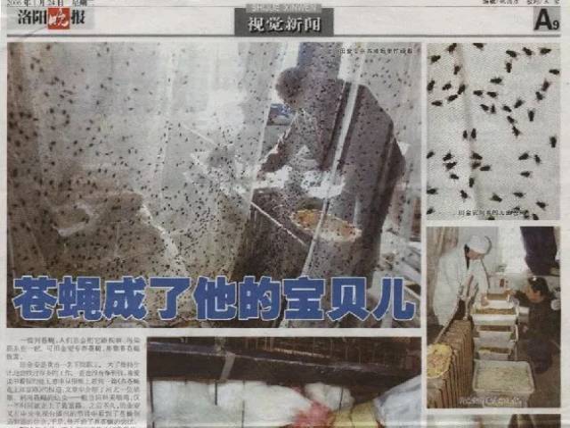 黑水虻、五谷虫（蝇蛆）、蚯蚓、五谷虫草（虻
