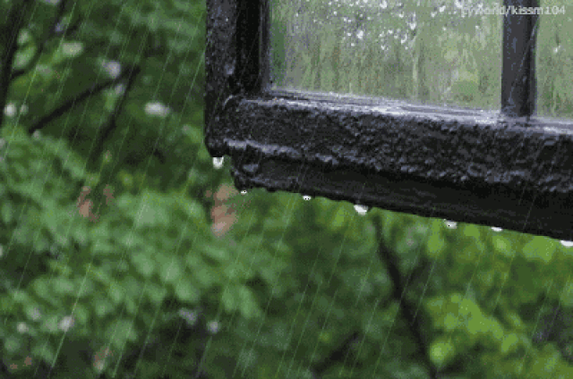 梅雨时节,别处是湿,江南是诗