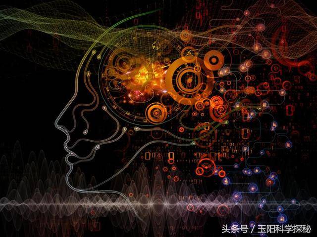 科学研究发现人类记忆系统除了大脑之外还存在第二个!图片