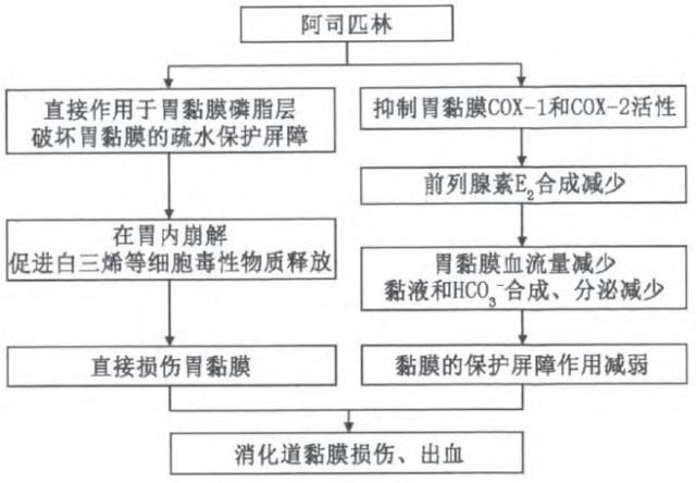 阿司匹林对消化道黏膜有直接刺激作用,可直接作用于胃黏膜的磷脂层