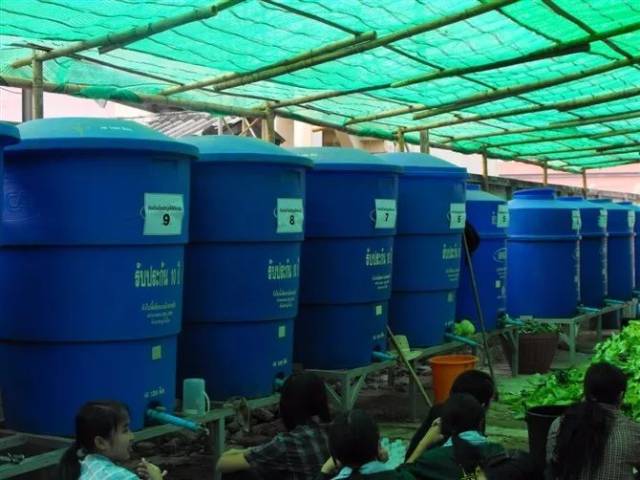 黑水虻、五谷虫（蝇蛆）、蚯蚓、五谷虫草（虻