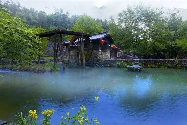 越雨越美,一帖告知"入梅"浦江最佳出游地!-旅游频道-手机搜狐