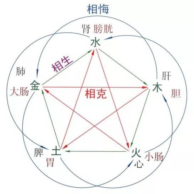 养生|不懂脏腑五行,你的护肤品就白买了