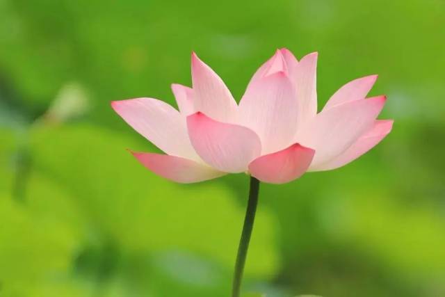 风水师教你怎么选微信头像