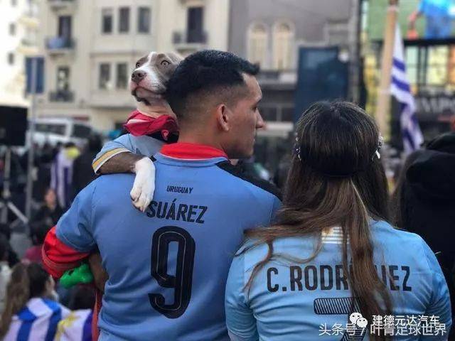 344万人口小国，连续3届世界杯进16强!学校停课狂欢庆祝