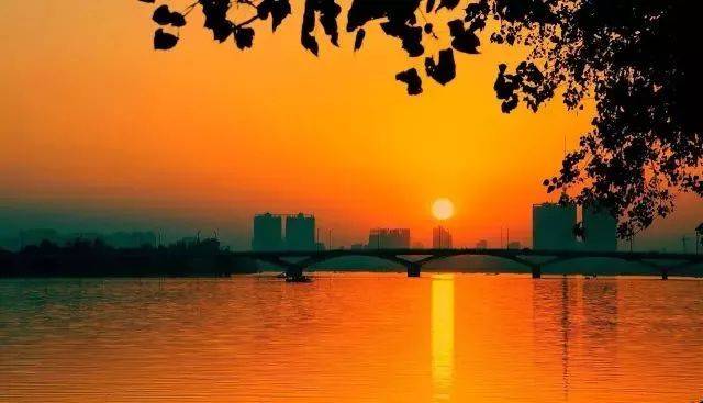 为家乡打CALL!河南22个市县获全国文明城市提