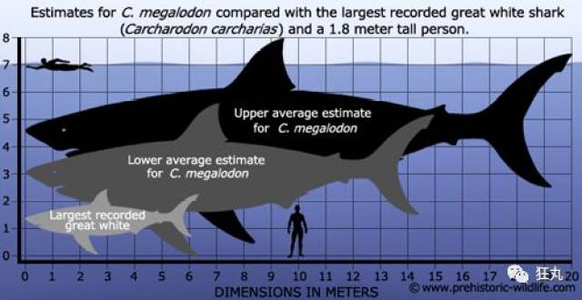 了解海鲜市场的知识 22223428b25445ed93fbe2dd834c9c84.jpeg