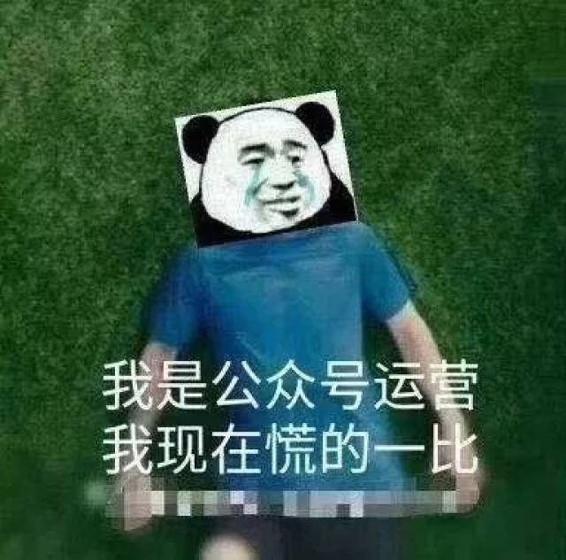 慌得一批!关于公众号改版,最全消息在此