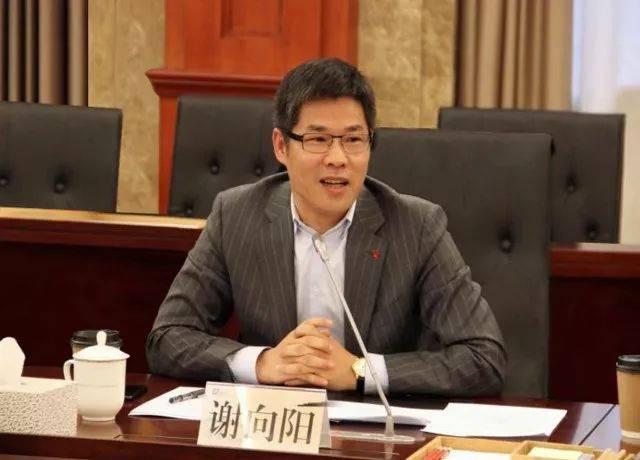 【新时代典型】谢向阳:人正业精,做"好律师"
