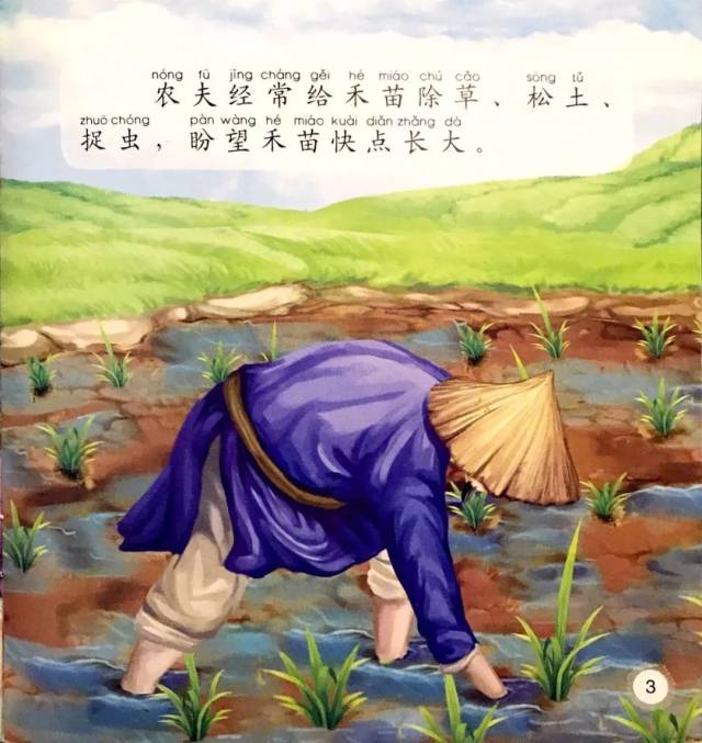 墨洋之声丨中华成语故事绘本《拔苗助长》