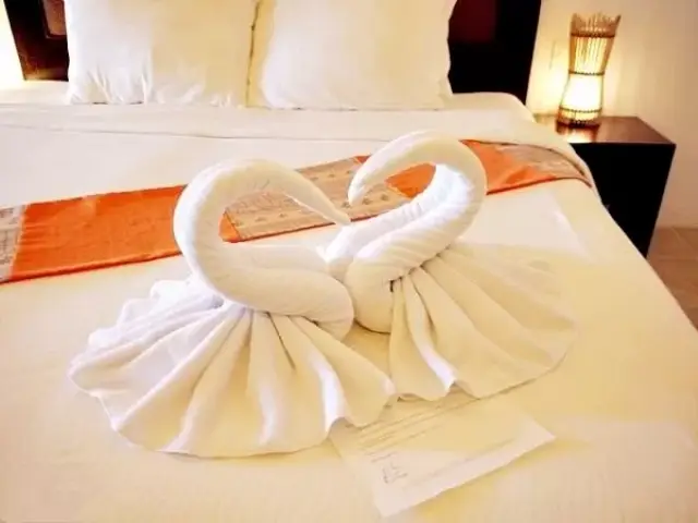 今天小编就来教大家,如何叠出和这些酒店里一模一样小动物毛巾,给你的