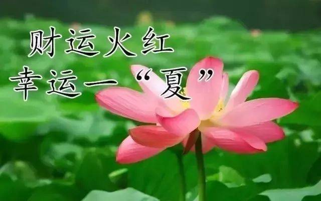 明日夏至,愿你快乐至,好运至!吉祥至,幸福至!祝你夏至