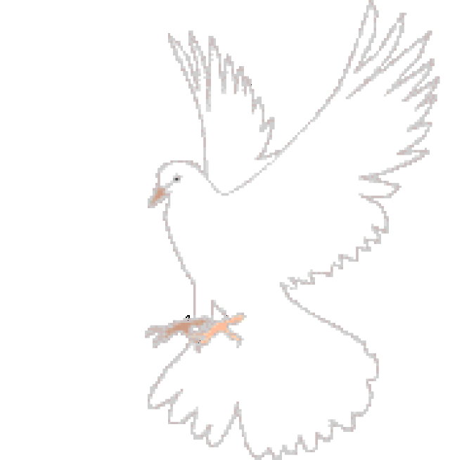 【事发银川】大胆