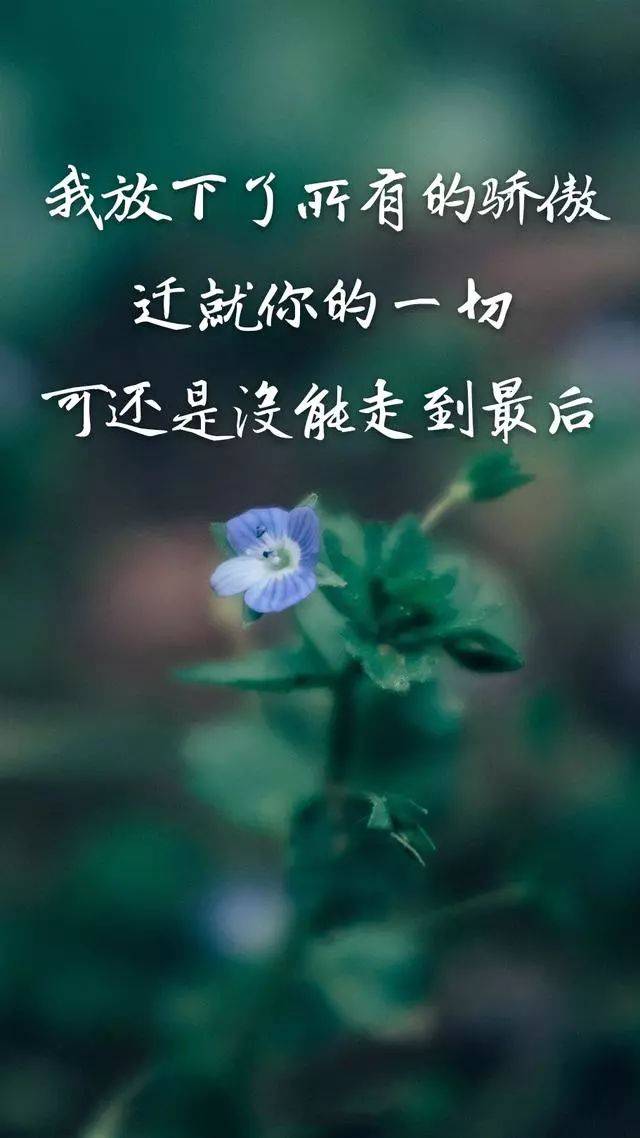 我放下了所有的骄傲,迁就你的一切,可还是没能走到最后