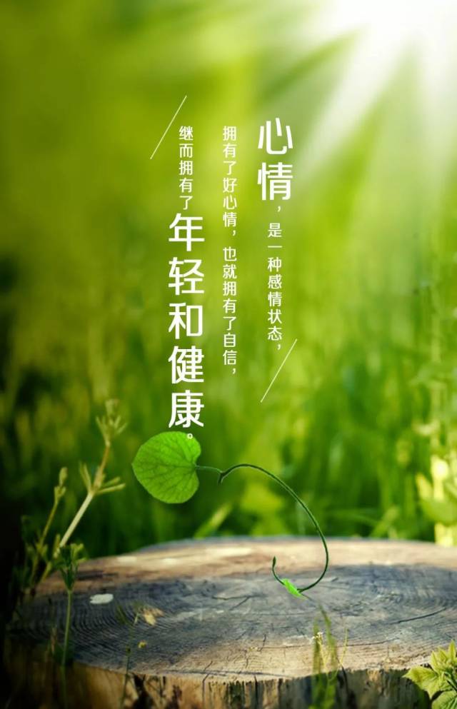 糿ʺ Ϻ־