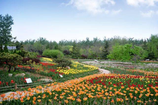 春天去植物园看百花盛开.