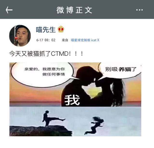 我研究了100名猫奴的朋友圈,发现了一个可怕的现象.