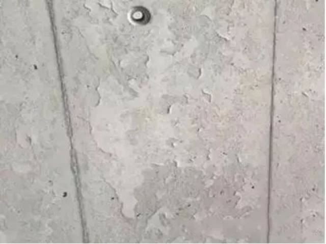 a23f69f20290449292a52ee56761787e.jpeg