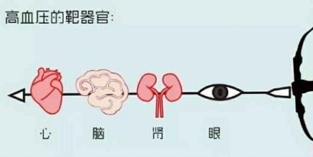 高血压只是血压升高?别傻了,伤害的还有4个"靶器官"