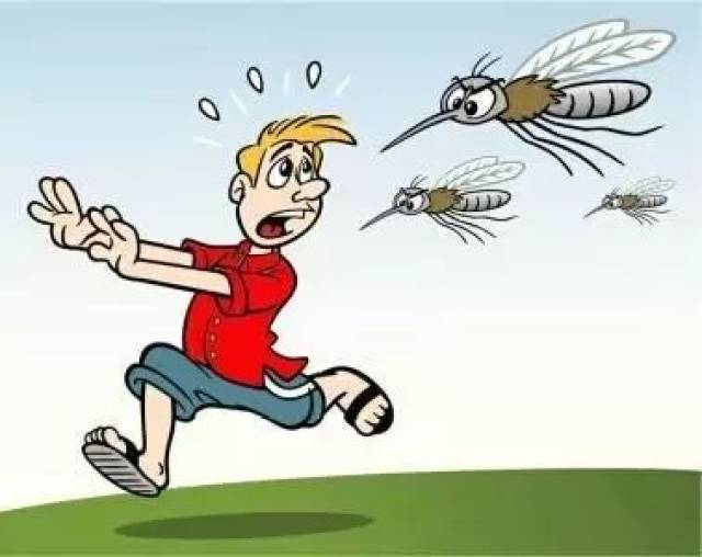 【健康微课堂】专访病媒专家曾晓芃—灭蚊指南(二)_手机搜狐网
