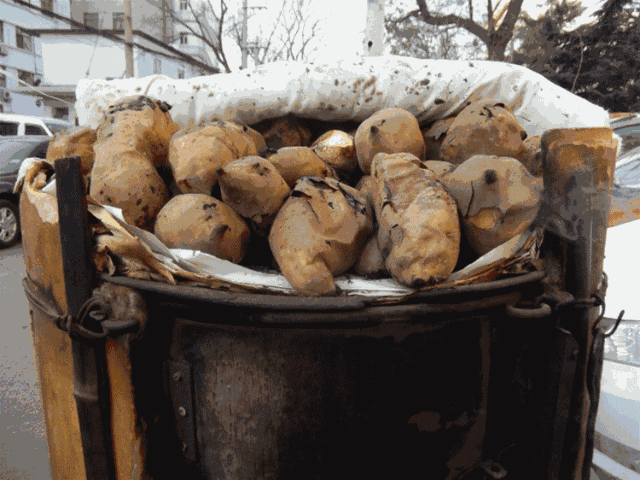640_480gif 动态图 动图