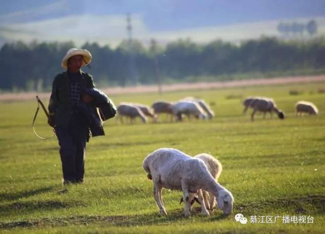 【为你读诗《牧羊人(节选—徐开红